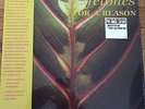 Lifetones ?– 