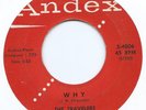 R&B / DOO WOP ROCKER 45 - TRAVELERS 