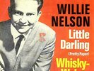 WILLIE NELSON 7