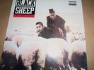 Black Sheep A Wolf In Sheep's Clothing Vinyl 12'' LP Rap Hip Hop