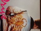 Drive Vinyl
