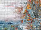Explosions In The Sky - The Wilderness (2LP) Vinyl Record