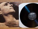 Pitch Shifter (Pitchshifter) - Desensitized (UK) Ex+ FREE SHIPPING