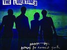 The Libertines - Anthems for Doomed Youth