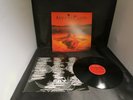 Alice in Chains vinyl lp Dirt 2009 release