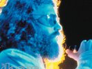 The Doors - Live at the Aquarius Theater RSD 2016 2LP