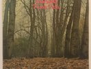 Twink 'Think Pink' 1st GERMAN POLYDOR 1970 PROG ROCK Vinyl LP
