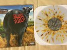 BLINK 182 DUDE RANCH VINYL LP CLEAR WITH BROWN AND ORANGE SPLATTER OOP