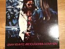 Lenny Kravitz - Are You Gonna Go My Way (orig. Vinyl LP - EU version - OIS)