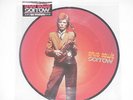 DAVID BOWIE -Sorrow- 7