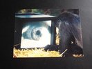 ROGER WATERS AMUSED TO DEATH 2XLP 92 HOLLAND COLUMBIA 1ST PRESS RARE PINK FLOYD