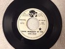 Bobby Fuller And The Fanatics Promo 45 Rpm 