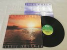 PETER GREEN LITTLE DREAMER + INNER 1980 1st UK A1/B1 RELEASE LP
