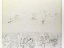 Rock Bottom  Robert Wyatt Vinyl Record
