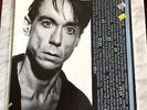 Iggy Pop LP Real Wild Child Wild One rig 12