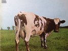PINK FLOYD Atom Heart Mother 1970 (Vinyl LP)
