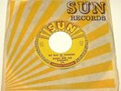 Randy and the Radiants- Truth From My Eyes / My Way Of Thinking - Sun 398