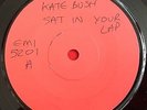 KATE BUSH -Sat In Your Lap-  UK 7