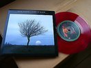 PINK FLOYD-Take It Back / Astronomy Domine (Live)-/UK (EM 309) pink vinyl 7” NM