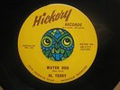 AL TERRY Watch Dog HEAR Rare 1960 ROCKABILLY BOPPER 45 EX CLEAN Hickory
