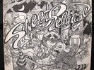 SWEET RELEASE   WHO WAS THAT MASKED BAND? PRIVATE GARAGE PSYCH ROCK LP-WISCONSIN