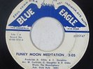 Funk 45 - Moonlighters - Funky Moon Meditation - Blue Eagle - mp3