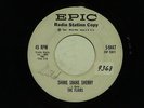 THE FLAIRS Shake Shake Sherry EPIC  DJ   hear soundclip