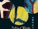 Dixie Chicks - Fly [Vinyl New]