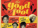 Dj Snowboy Presents The Good Foot - 2 DISC SET - Dj Snowboy Pr (2014, Vinyl NEW)