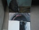Zoviet France 2 LP SET NM-M Red Rhino Original SHOUTING AT THE GROUND