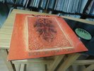 LAVA TEARS ARE GOIN HOME 1973 MINT KRAUTROCK MUSIC