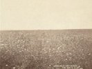 The Milk Carton Kids - The Ash and Clay VINYL LP NEW [2 Disc, LP + CD]