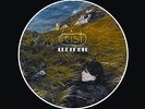 FEIST - LET IT DIE (BACK TO BLACK 2012) NEW VINYL