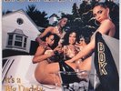 BIG DADDY KANE: It's A Thing '89 LP US ORG Marley Marl Prince Paul RAP Hip Hop