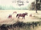 Sometimes I Wish We Were An Eagle [LP] by Bill Callahan (Vinyl, Apr-2009, Drag C