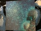 LOVE OUT HERE RARE PSYCH LP  ORIG '68 BLUE THUMB LP