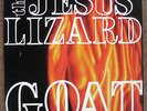 The Jesus Lizard   
