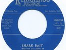 RARE ROCKABILLY  LARRY & DIXIE DAVIS  
