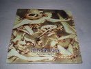 Will-O-The-Wisp Second Sight LP ACT 003 RARE