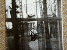 PAUL McCARTNEY 'CHAOS AND CREATION IN THE BACKYARD' UNPLAYED GATEFOLD VINYL LP