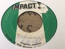 Lloyd Parks Ordinary Man Rare Killer Roots 7