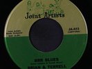 BRIAN & TERRELL: Brr Blues 45 (lite edge warp nap) Rock & Pop