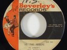Beverley's All Stars/Maytals 