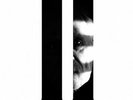 JOHN CARPENTER - LOST THMES II (LP)