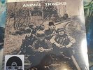 ANIMAL 