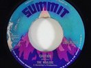 Wailers 
