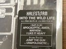 HALESTORM - INTO THE WILD LIFE- BLUE DELUXE VINYL 2xLP + CD- 1000 MADE- NEW