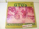 1969 Promo GTO'S PERMANENT DAMAGE LP RECORD Girls Together Outrageously Zappa***