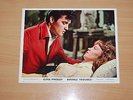 ELVIS PRESLEY - RARE ORIGINAL 1967 'Double Trouble' UK CINEMA LOBBY CARD photo