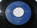 SEQUINS TRY MY LOVE/HE'S GONNA BREAK YOUR HEART DETROIT SOUND 503 45 (G)